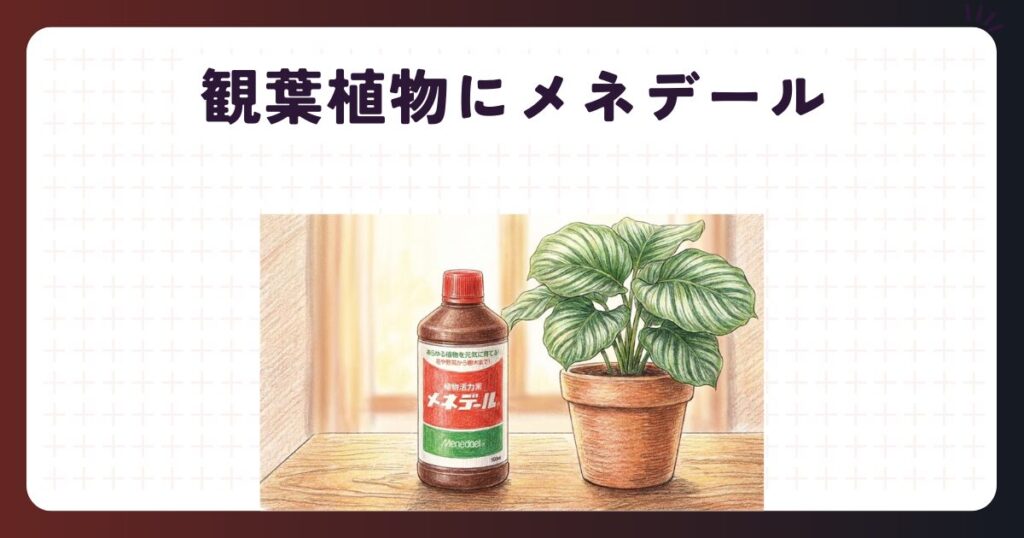 観葉植物にメネデール！植え替えや水耕栽培で失敗しない効果的な使い方