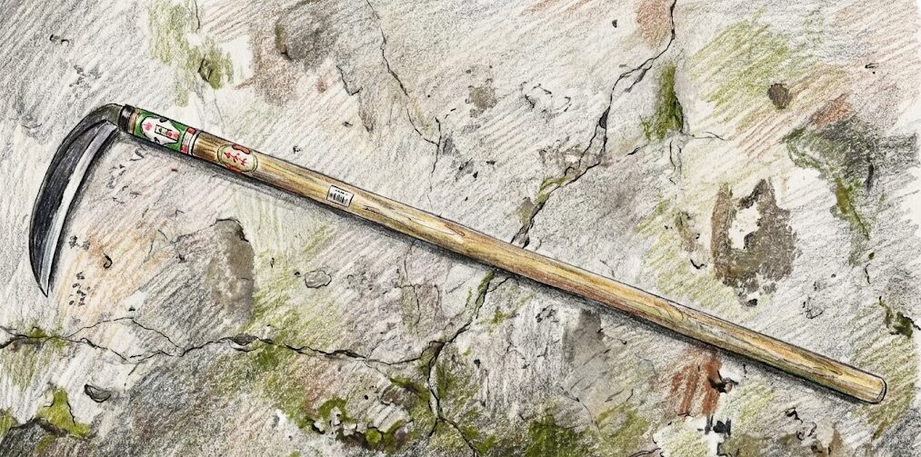 長柄の草刈り鎌でおすすめの選び方と種類