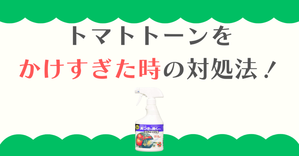 トマトトーンをかけすぎた時の対処法！葉の縮れや実の変形は治る？