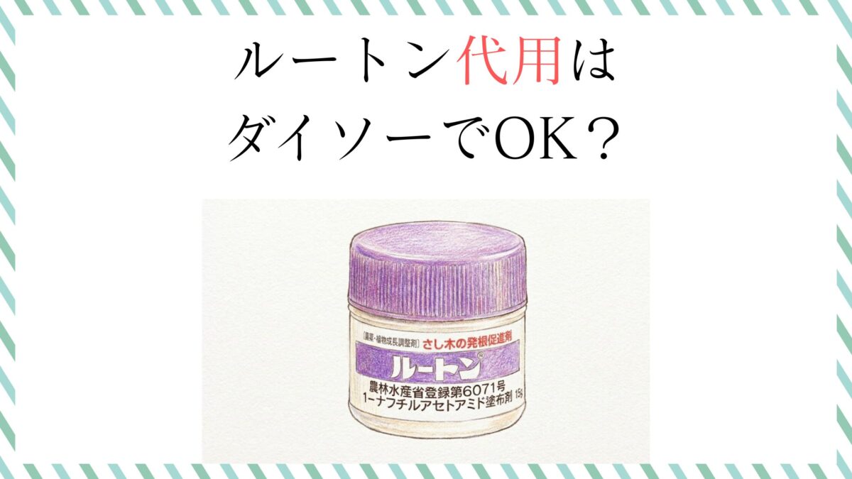 ルートン代用はダイソーでOK？家にあるものでの発根術も解説