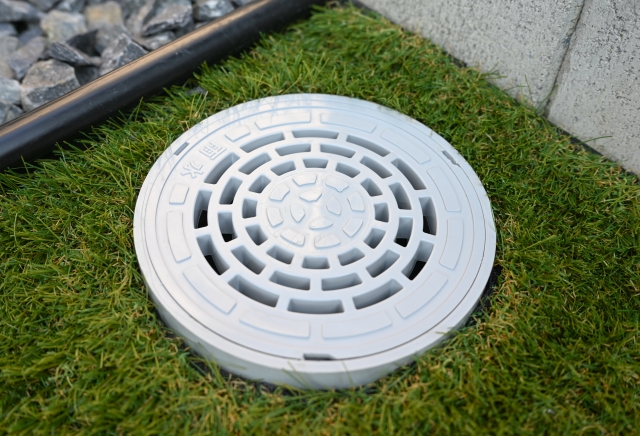 庭の蚊が多い原因と発生源の正体