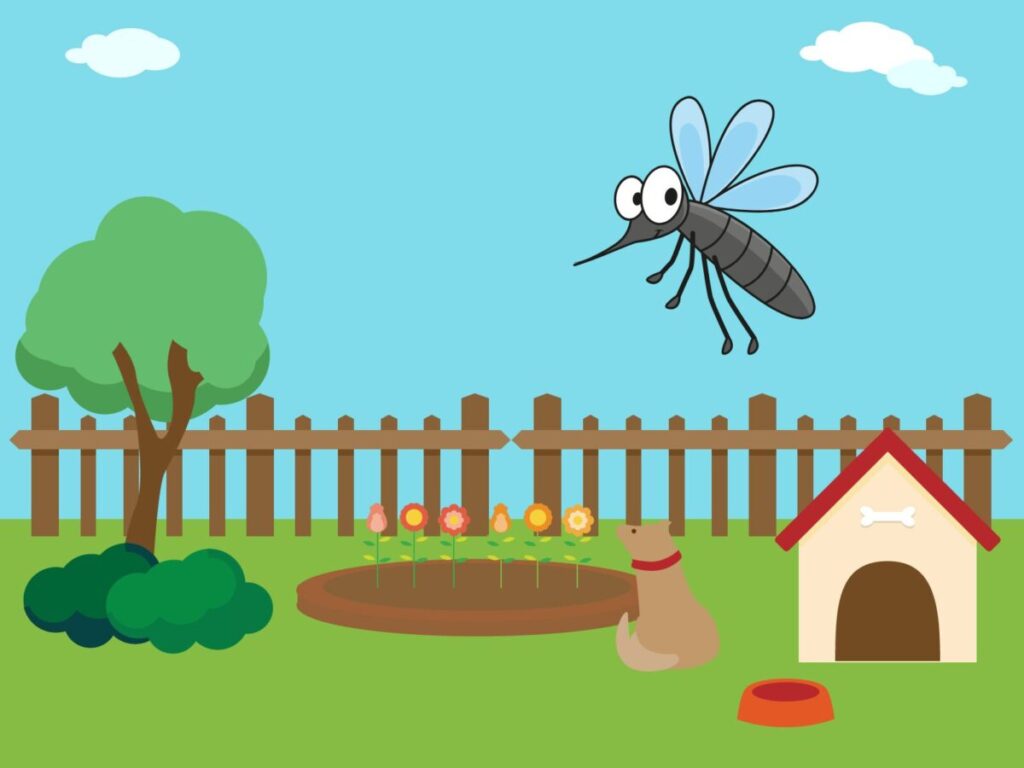 庭の蚊退治でオルトランの代わりになる最強の代用品