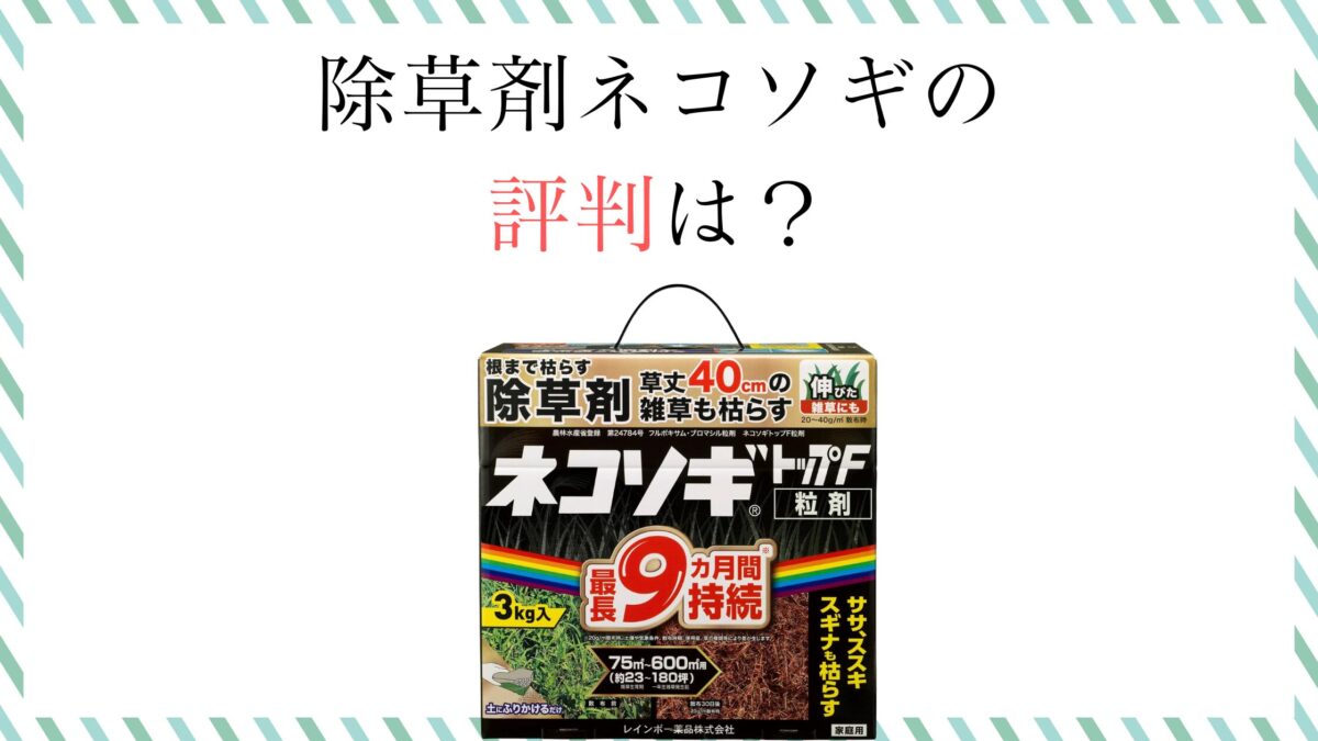除草剤ネコソギの評判は？枯れない噂や臭い・危険性を徹底検証