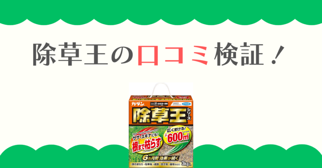 除草王の口コミ検証！ドクダミや雨への効果と最強の使い方を解説