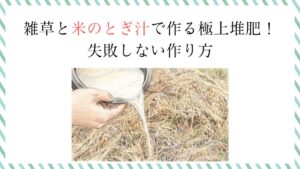 雑草と米のとぎ汁で作る極上堆肥！失敗しない作り方