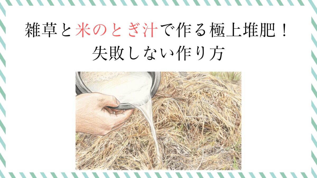 雑草と米のとぎ汁で作る極上堆肥！失敗しない作り方