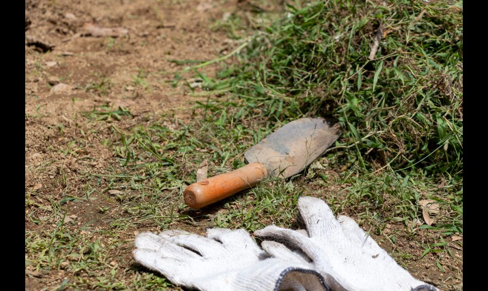 雑草を堆肥にする際のデメリットとは