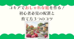 コキアでおしゃれな庭を作る！初心者必見の配置と育て方３つのコツ