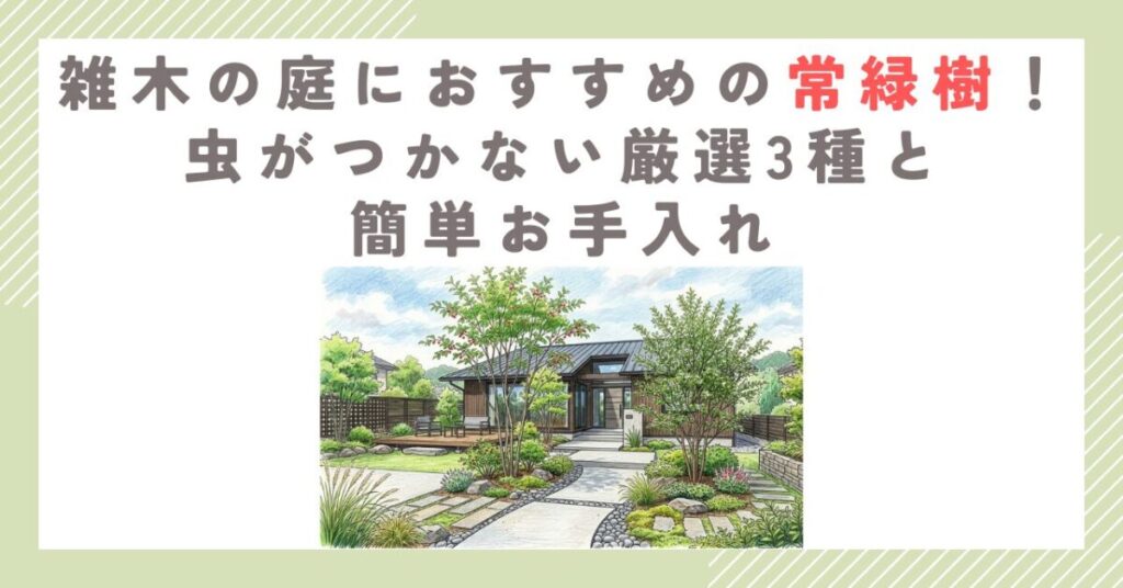 雑木の庭におすすめの常緑樹！虫がつかない厳選3種と簡単お手入れ