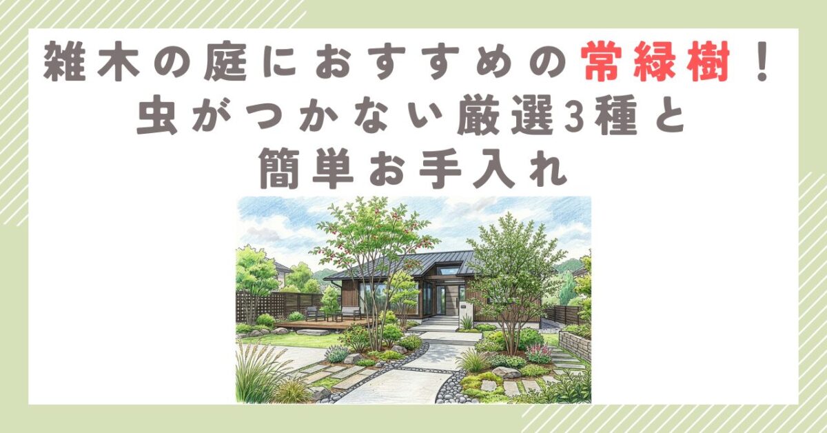 雑木の庭におすすめの常緑樹！虫がつかない厳選3種と簡単お手入れ
