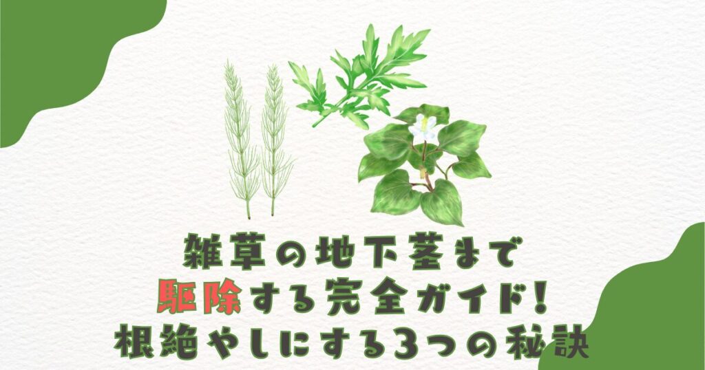 雑草の地下茎まで駆除する完全ガイド！根絶やしにする3つの秘訣