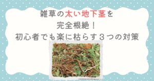 雑草の太い地下茎を完全根絶！初心者でも楽に枯らす３つの対策