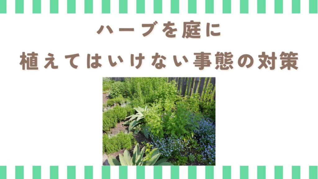 ハーブを庭に植えてはいけない事態の対策