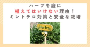 ハーブを庭に植えてはいけない理由！ミントテロ対策と安全な栽培