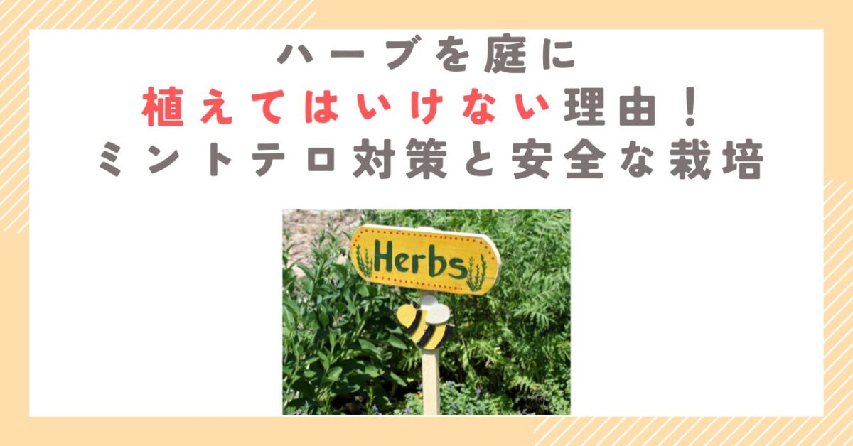 ハーブを庭に植えてはいけない理由！ミントテロ対策と安全な栽培