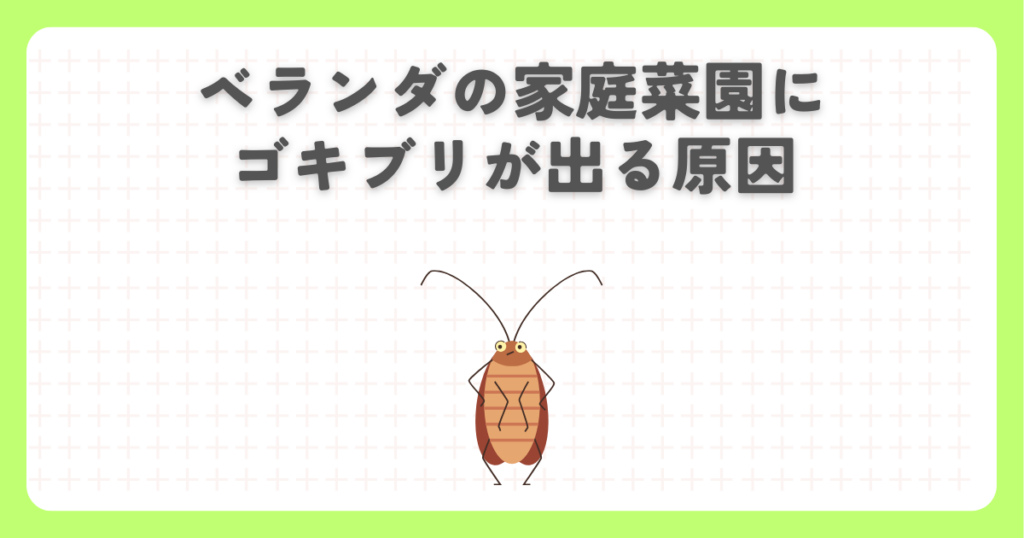 ベランダの家庭菜園にゴキブリが出る原因
