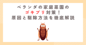 ベランダの家庭菜園のゴキブリ対策！原因と駆除方法を徹底解説