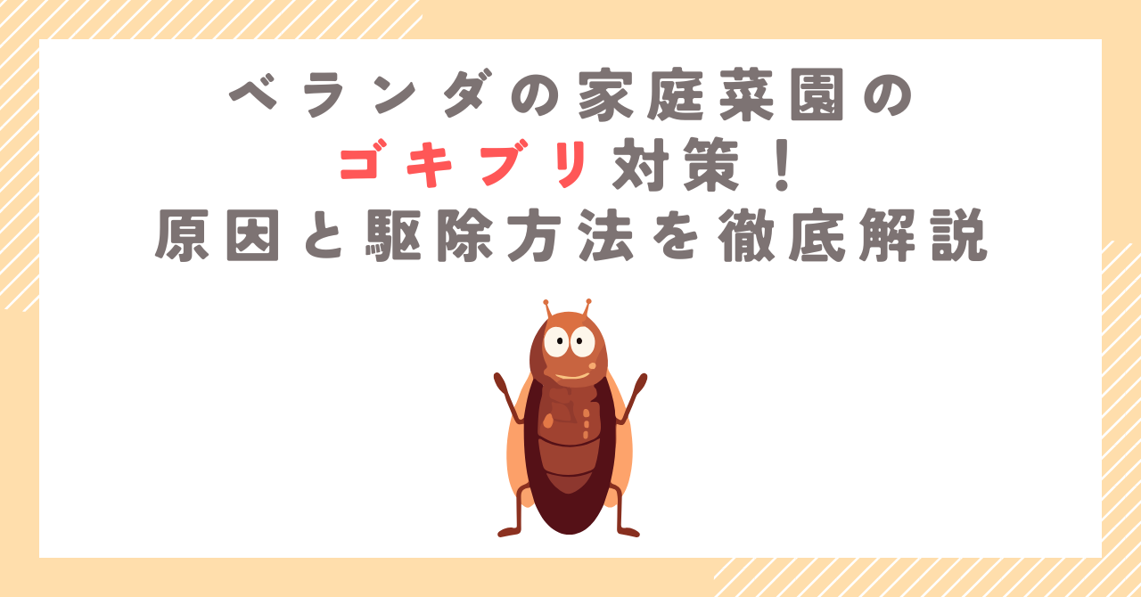 ベランダの家庭菜園のゴキブリ対策！原因と駆除方法を徹底解説