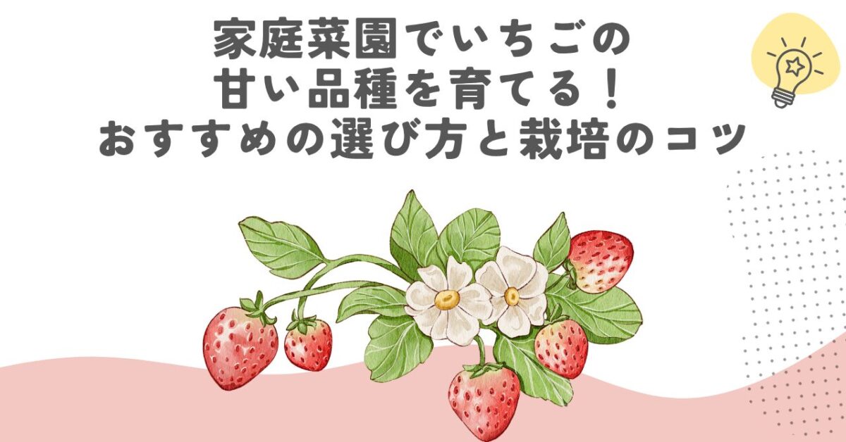 家庭菜園でいちごの甘い品種を育てる！おすすめの選び方と栽培のコツ