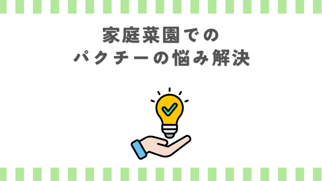 家庭菜園でのパクチーの悩み解決