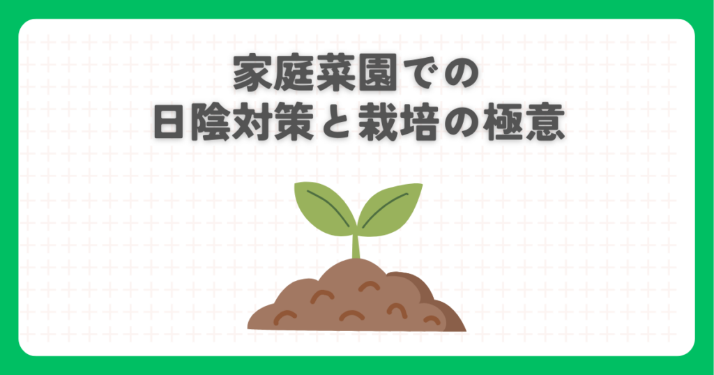家庭菜園での日陰対策と栽培の極意