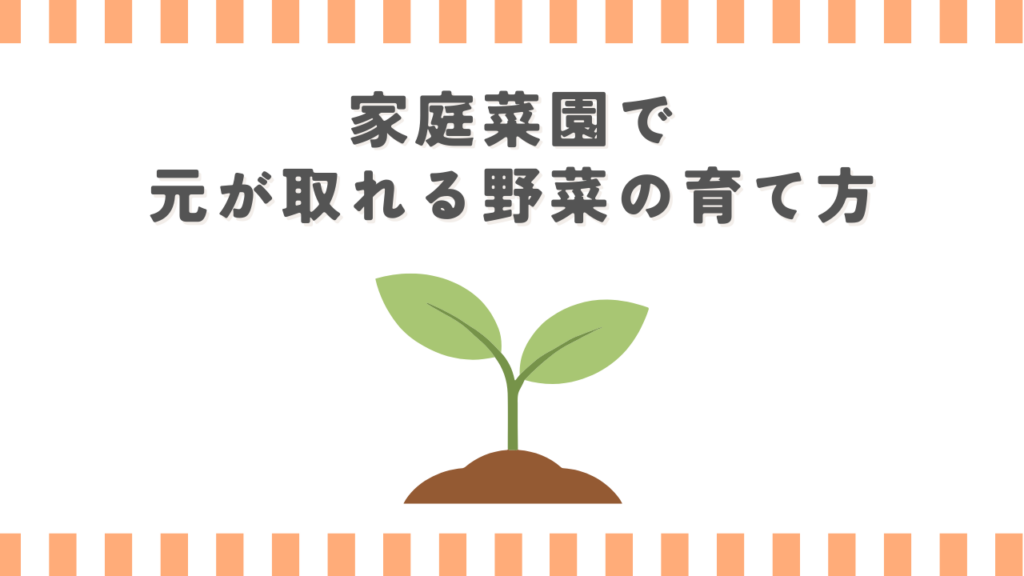家庭菜園で元が取れる野菜の育て方