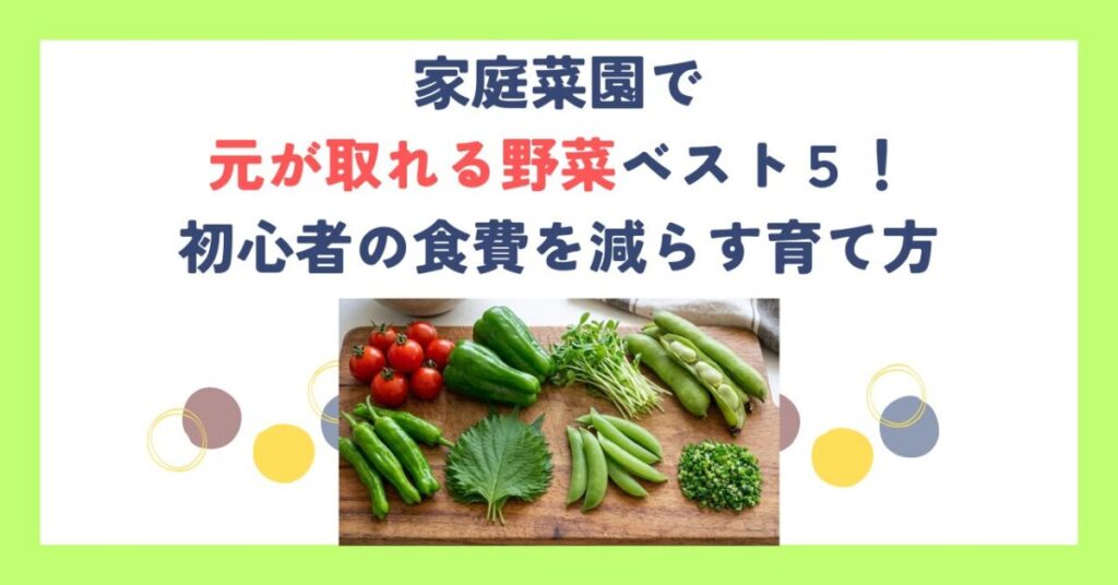 家庭菜園で元が取れる野菜ベスト５！初心者の食費を減らす育て方