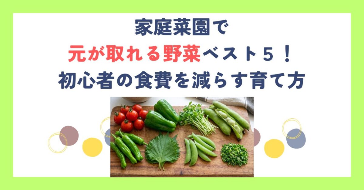 家庭菜園で元が取れる野菜ベスト５！初心者の食費を減らす育て方