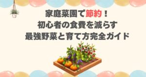家庭菜園で節約！初心者の食費を減らす最強野菜と育て方完全ガイド