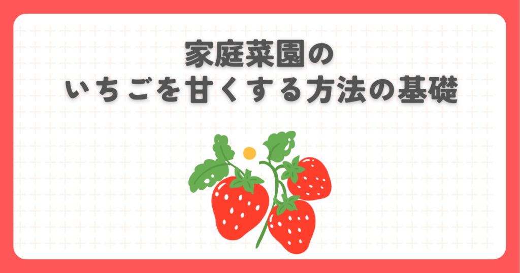 家庭菜園のいちごを甘くする方法の基礎