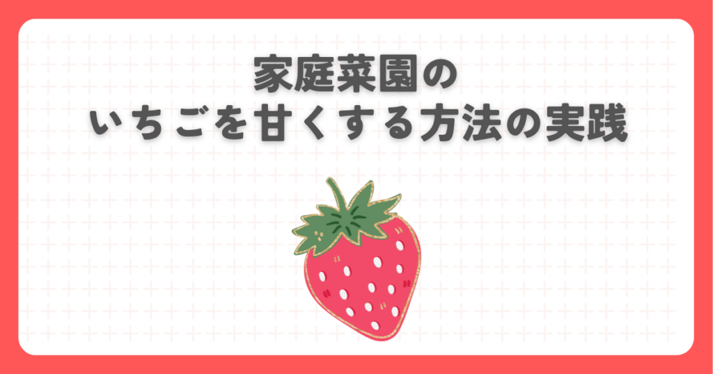 家庭菜園のいちごを甘くする方法の実践