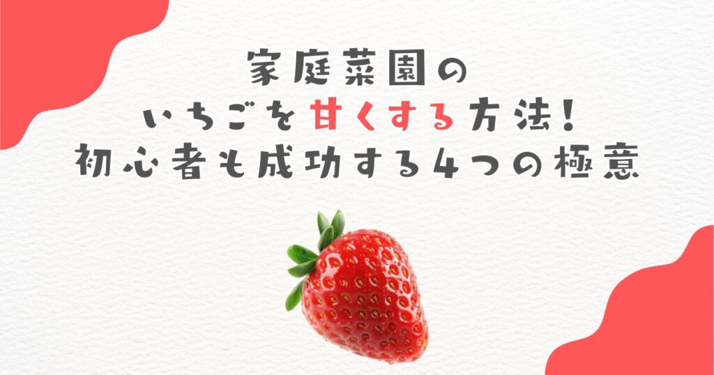 家庭菜園のいちごを甘くする方法！初心者も成功する４つの極意