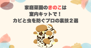 家庭菜園のきのこは室内キットで！カビと虫を防ぐプロの裏技２選
