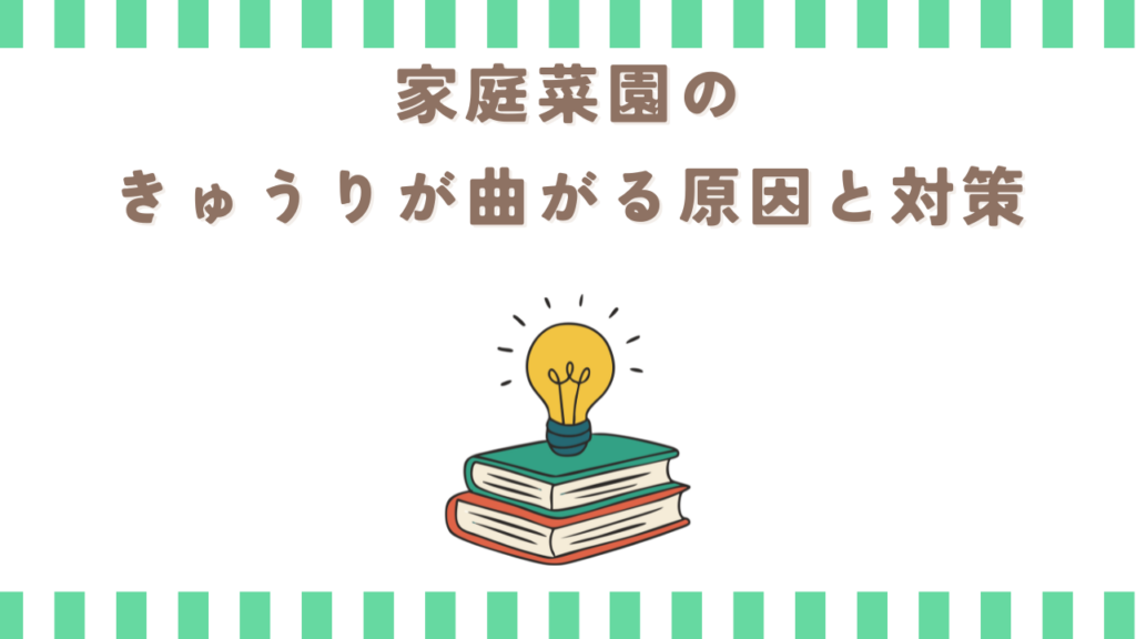 家庭菜園のきゅうりが曲がる原因と対策