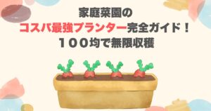 家庭菜園のコスパ最強プランター完全ガイド！１００均で無限収穫