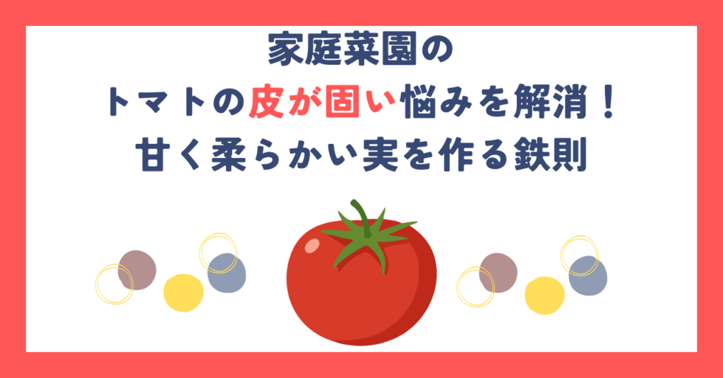 家庭菜園のトマトの皮が固い悩みを解消！甘く柔らかい実を作る鉄則
