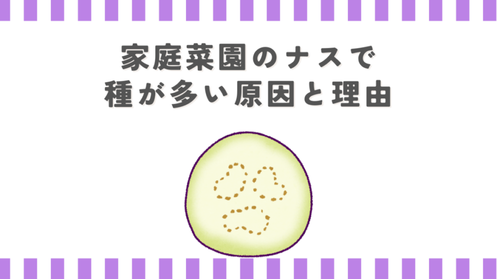 家庭菜園のナスで種が多い原因と理由