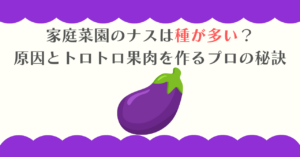家庭菜園のナスは種が多い？原因とトロトロ果肉を作るプロの秘訣