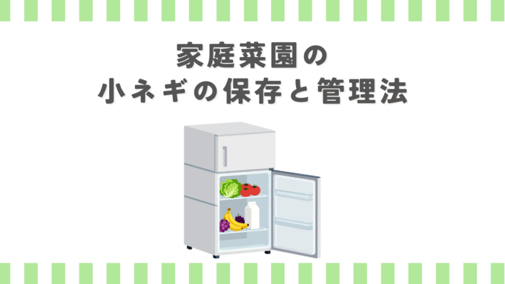 家庭菜園の小ネギの保存と管理法