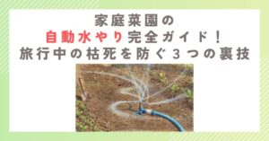 家庭菜園の自動水やり完全ガイド！旅行中の枯死を防ぐ３つの裏技