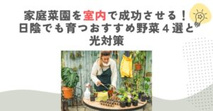 家庭菜園を室内で成功させる！日陰でも育つおすすめ野菜４選と光対策
