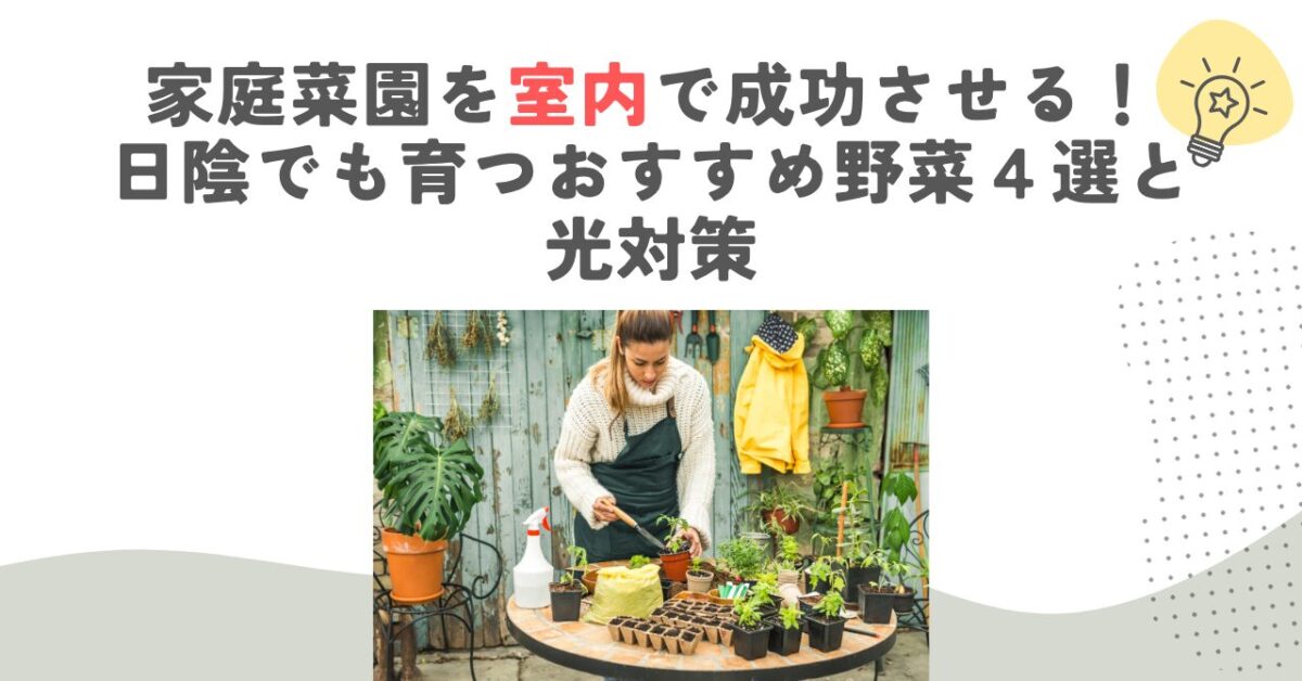 家庭菜園を室内で成功させる！日陰でも育つおすすめ野菜４選と光対策