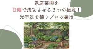 家庭菜園を日陰で成功させる３つの極意！光不足を補うプロの裏技