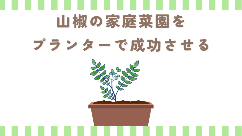 山椒の家庭菜園をプランターで成功させる