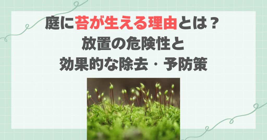 庭に苔が生える理由とは？放置の危険性と効果的な除去・予防策