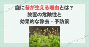 庭に苔が生える理由とは？放置の危険性と効果的な除去・予防策