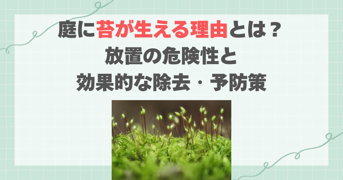庭に苔が生える理由とは？放置の危険性と効果的な除去・予防策