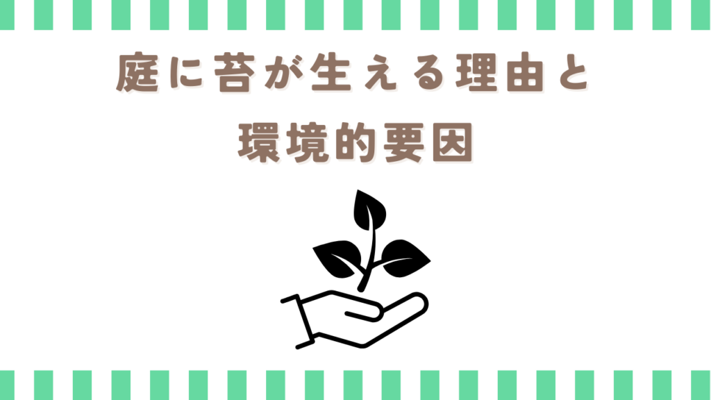 庭に苔が生える理由と環境的要因