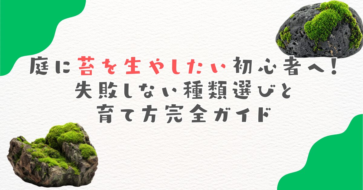 庭に苔を生やしたい初心者へ！失敗しない種類選びと育て方完全ガイド