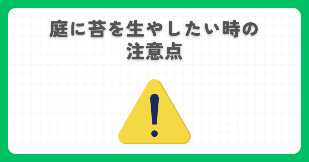 庭に苔を生やしたい時の注意点